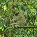Parque Nacional Manuel Antonio