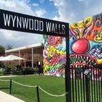 Wynwood Art District