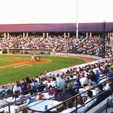 Timber Rattlers Baseball