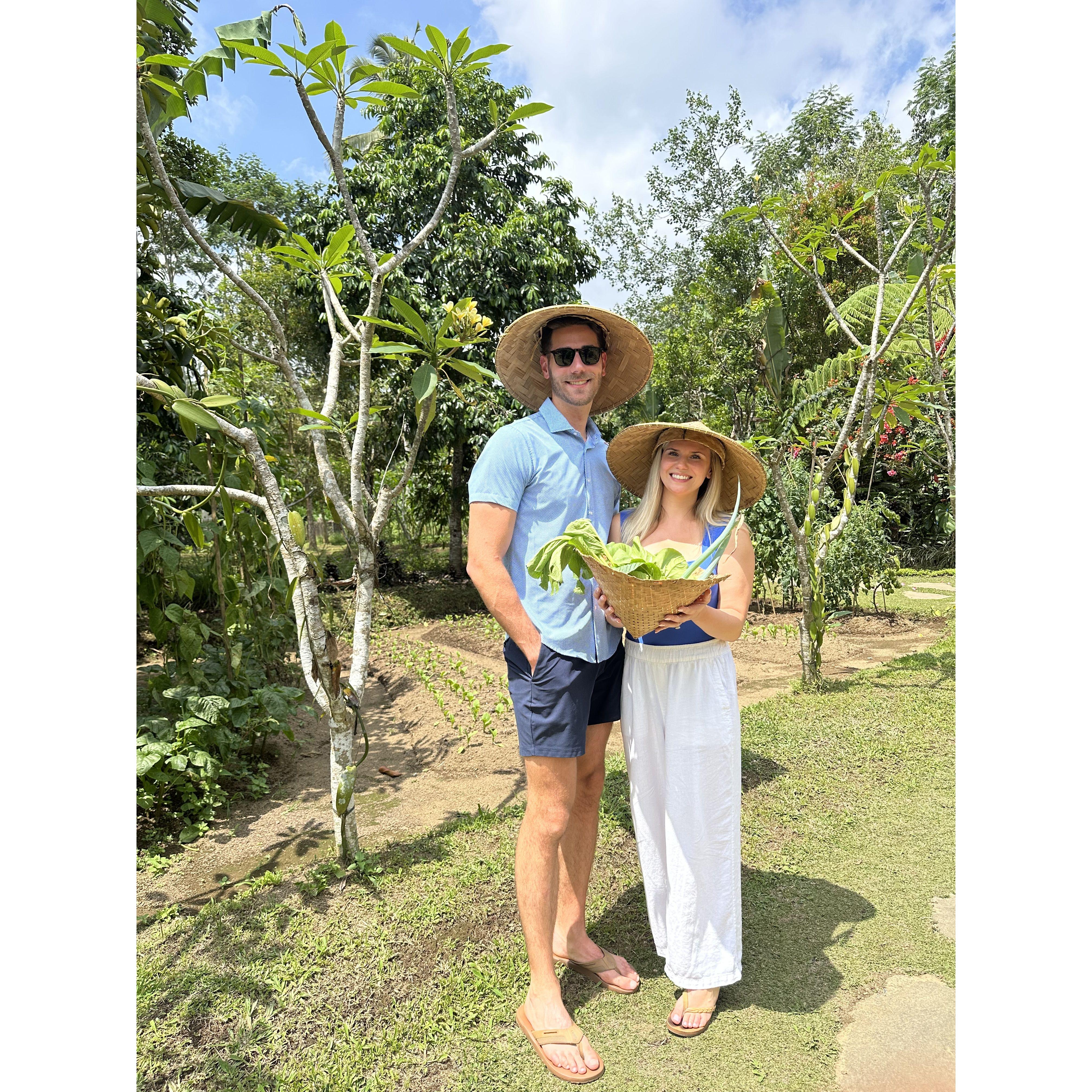 Picking herbs in Bali