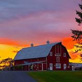 Thousand Islands Winery