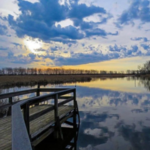 Tifft Nature Preserve