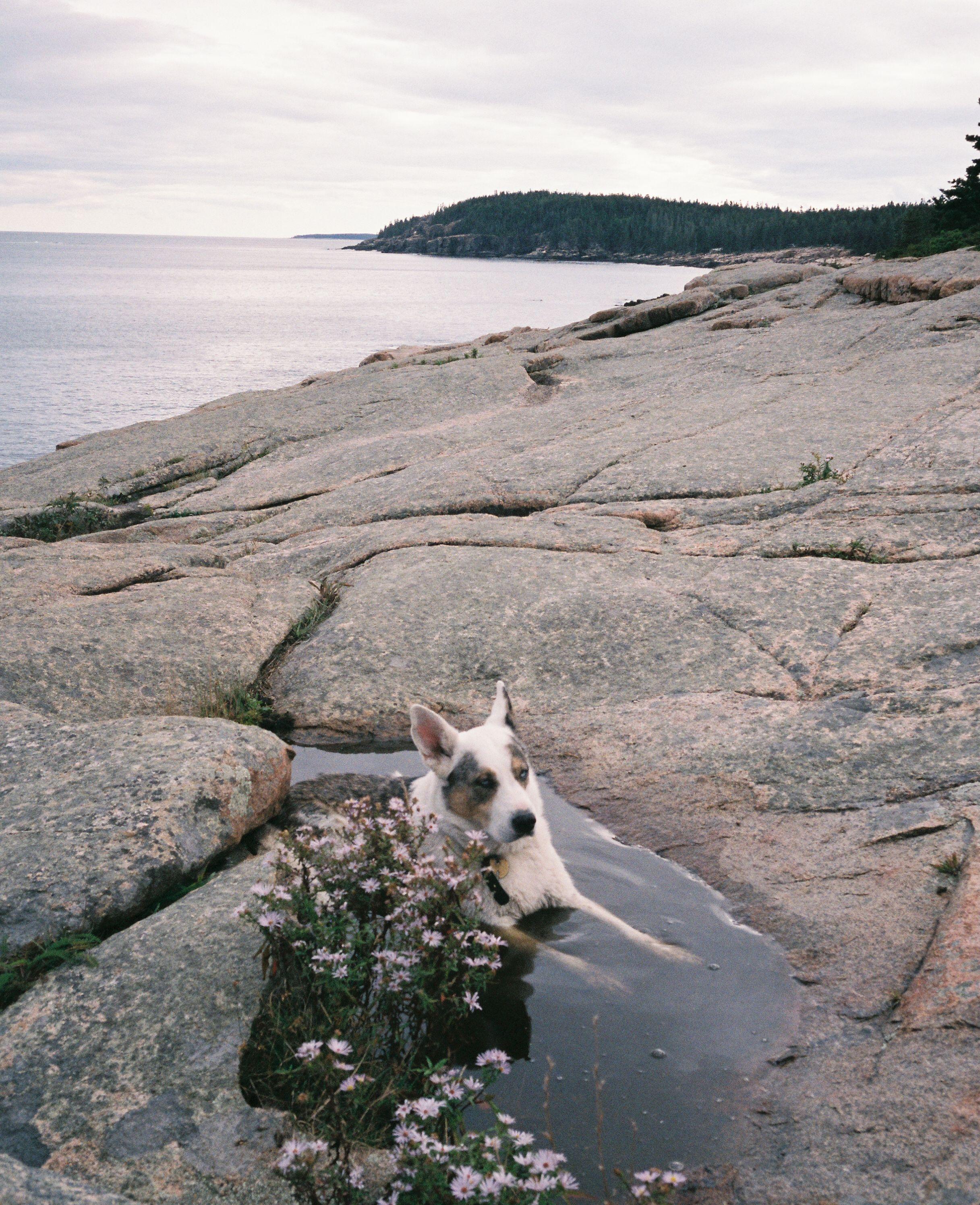 The Wedding Website of peyton flynn and sloan palder