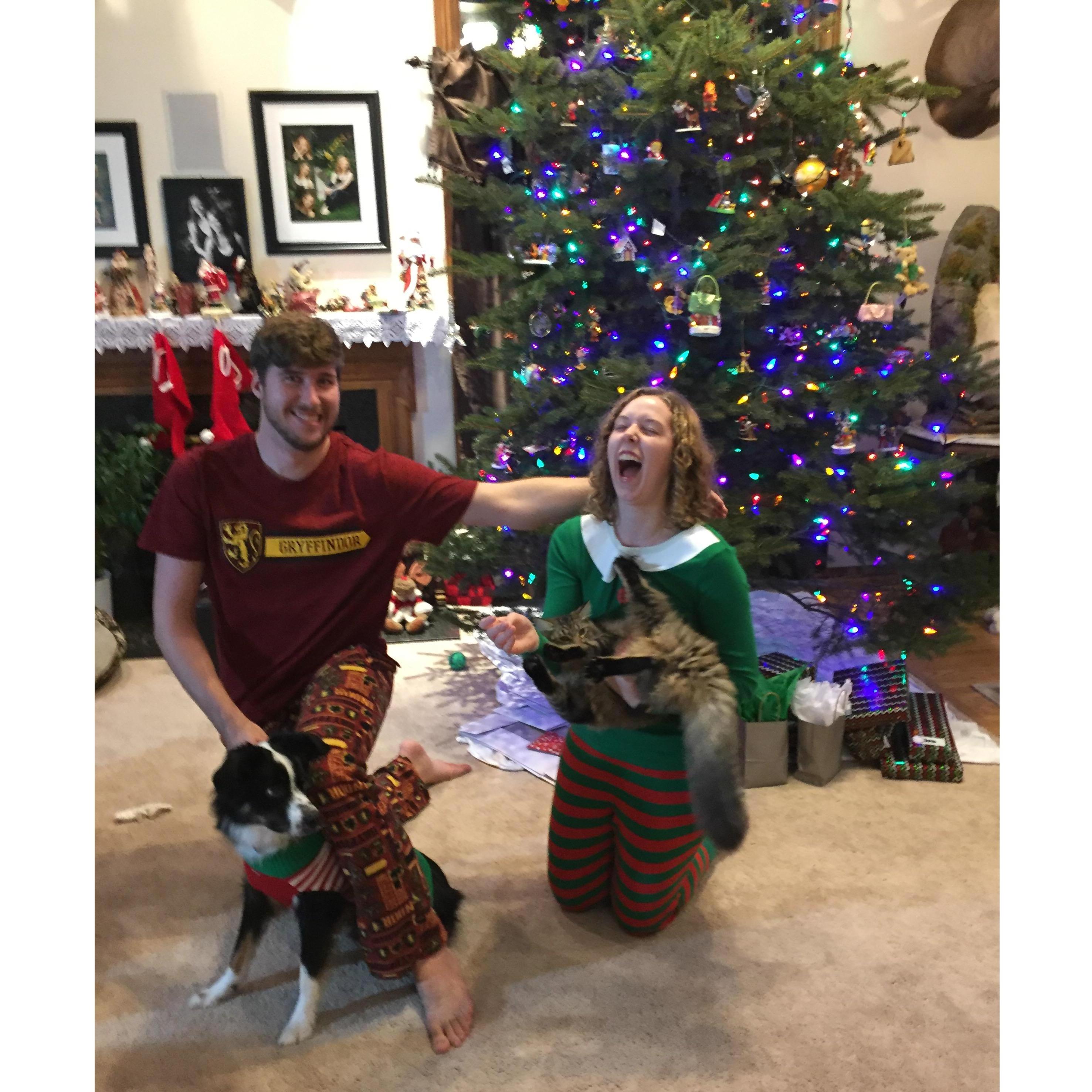 A family picture photo fail! *No humans or animals were harmed while filming.