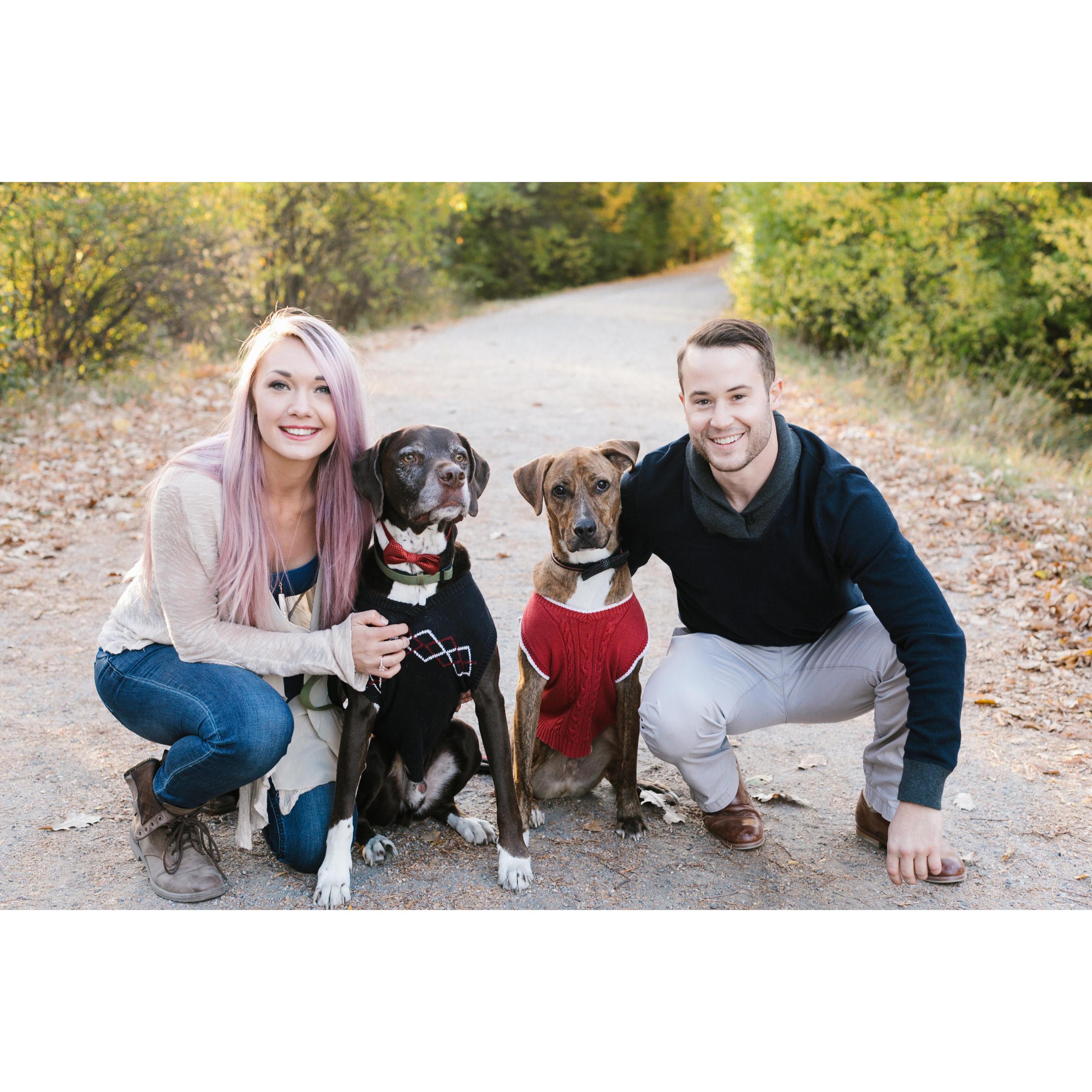 Our 2017 Christmas Card