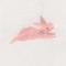 Bunny/pink