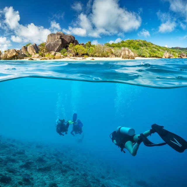 Snorkeling in Seychelles