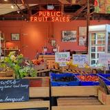 Johnson Orchards