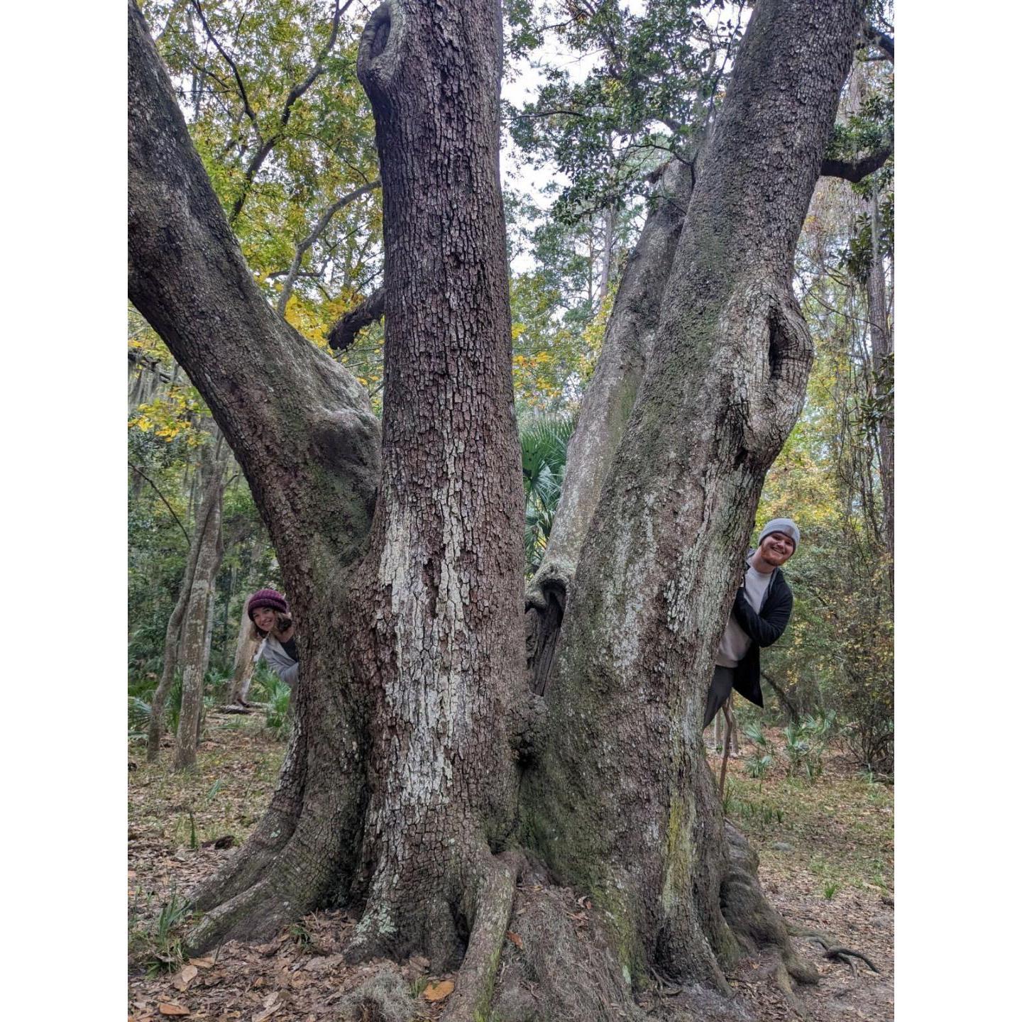 A group of lovely ladies insisted that we get our picture by this big tree while we were exploring Wormsloe.