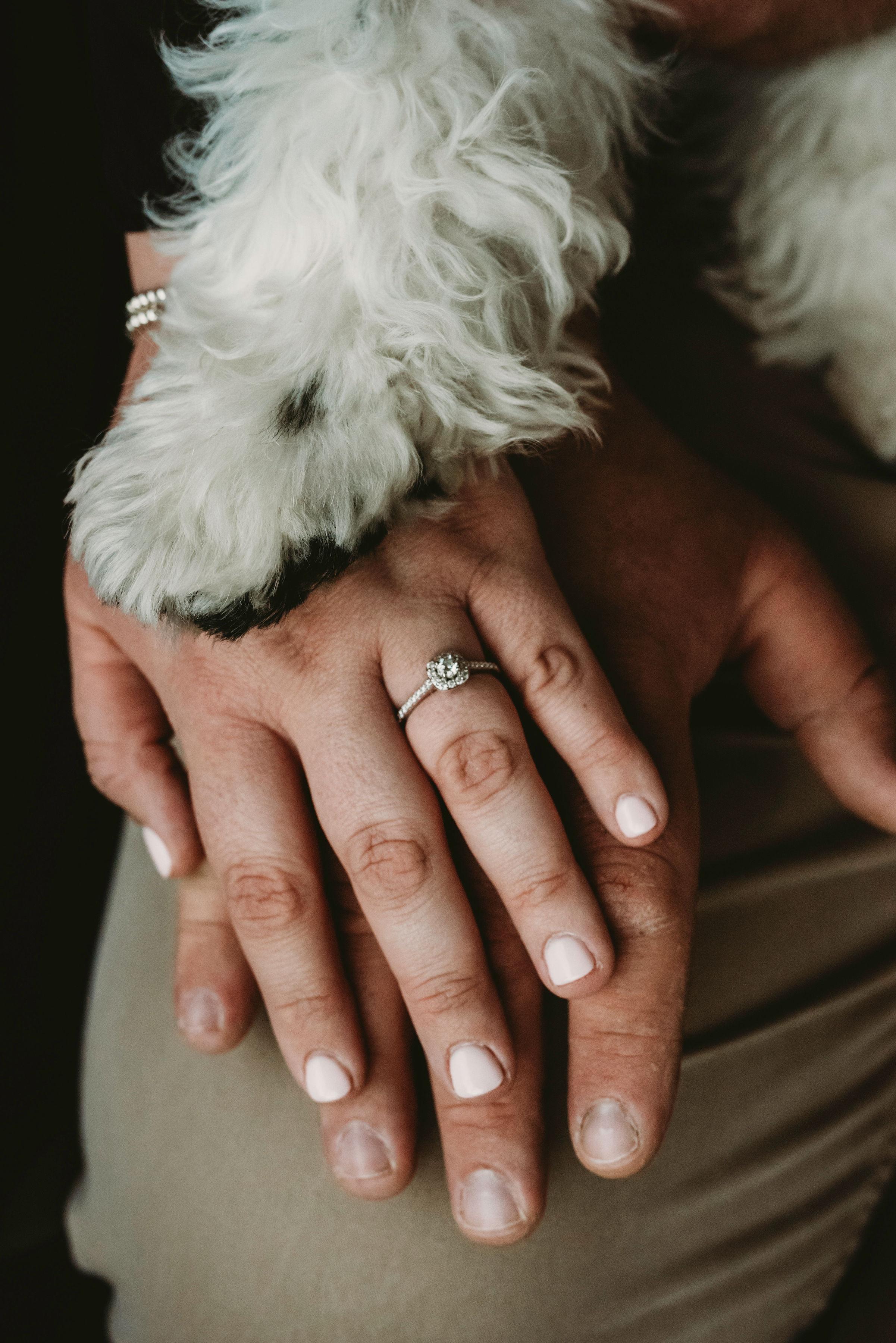 The Wedding Website of Ashley Blackburn and Alvis Moore