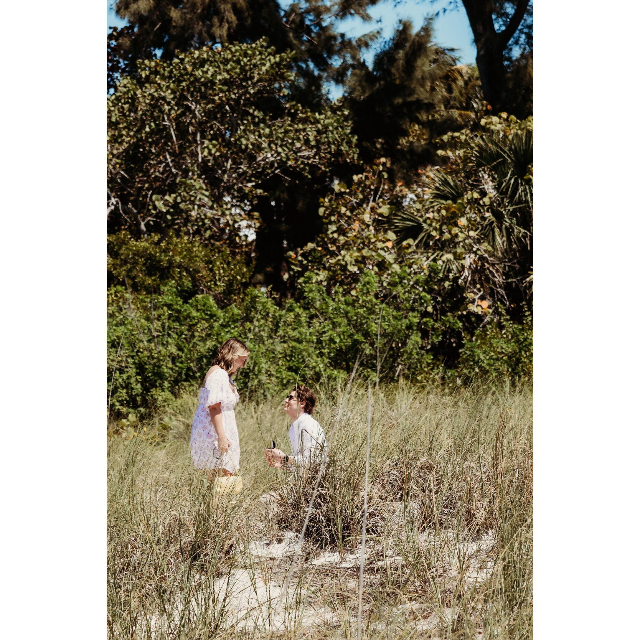The proposal