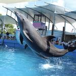 Miami Seaquarium