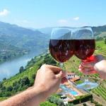 Douro Valley - Drink all the Wine