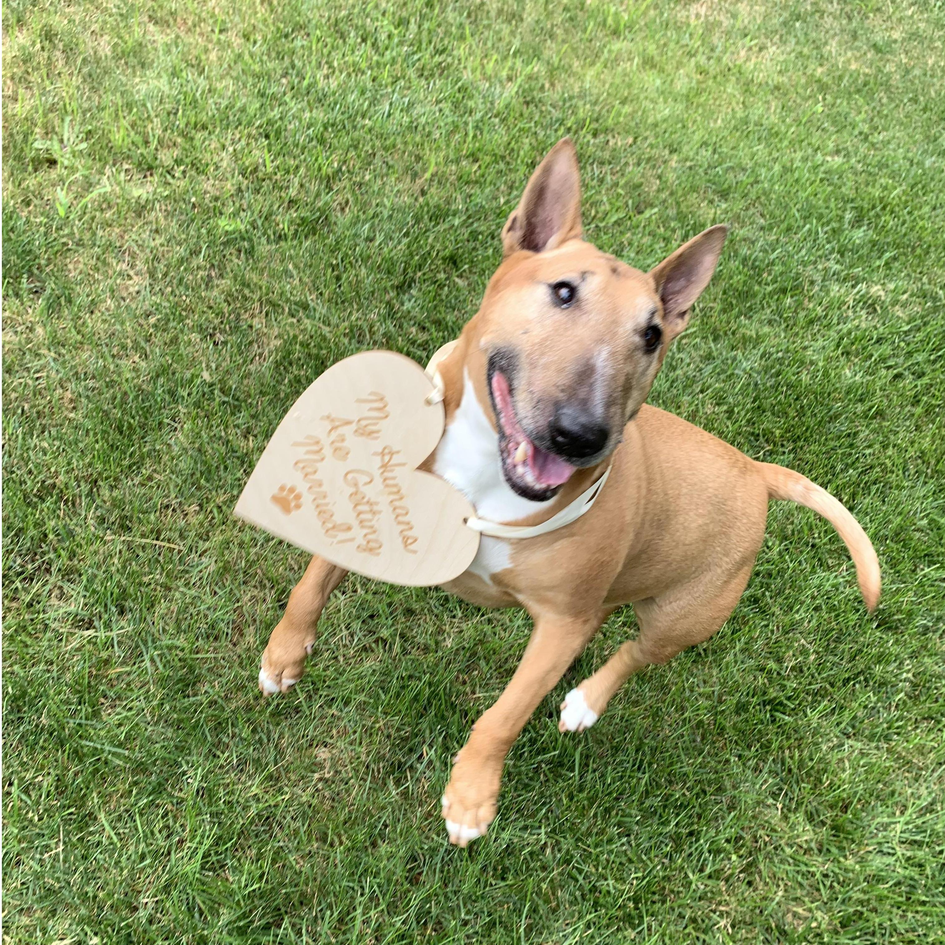 Izzy is so excited!