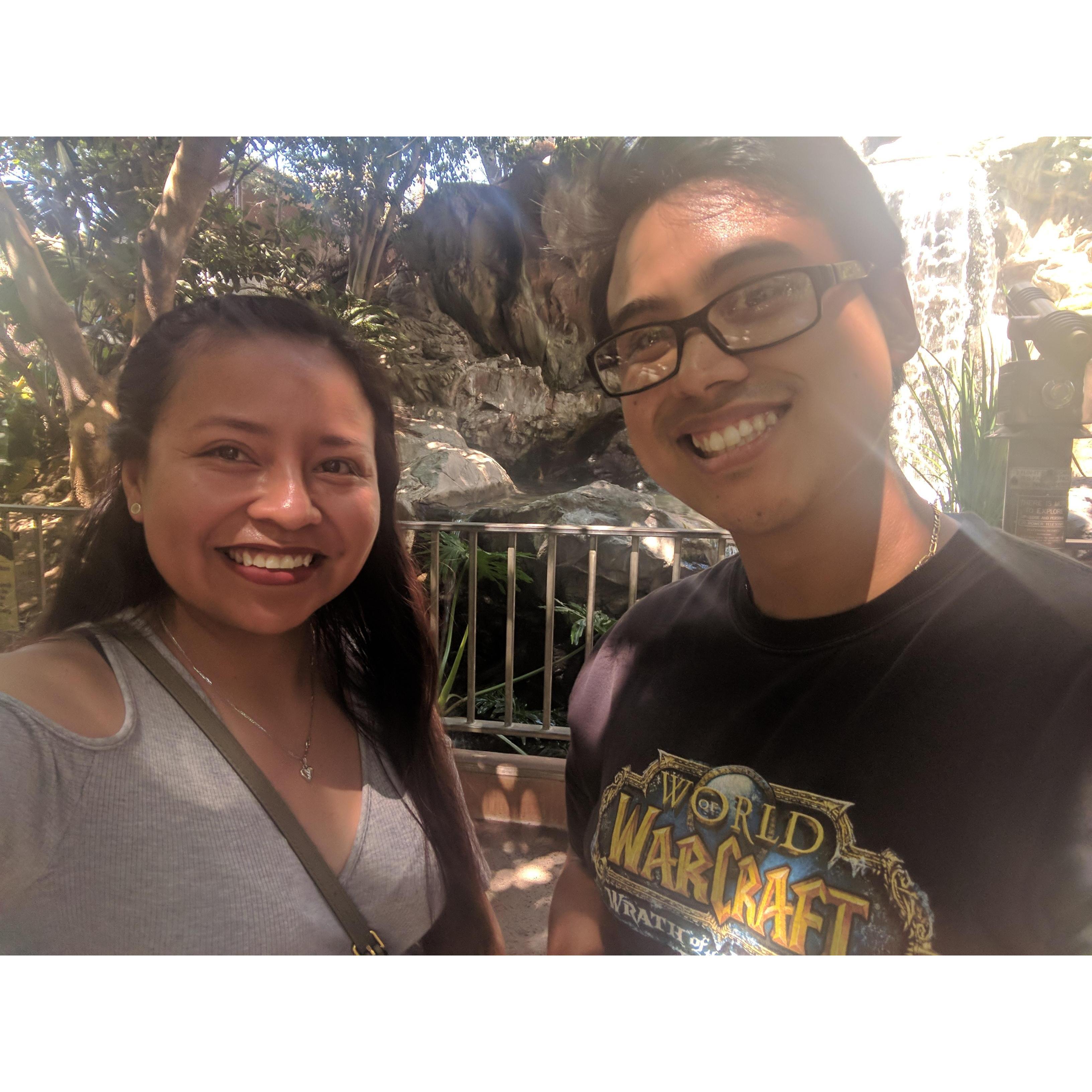 La Zoo 2017