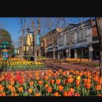 Pearl Street