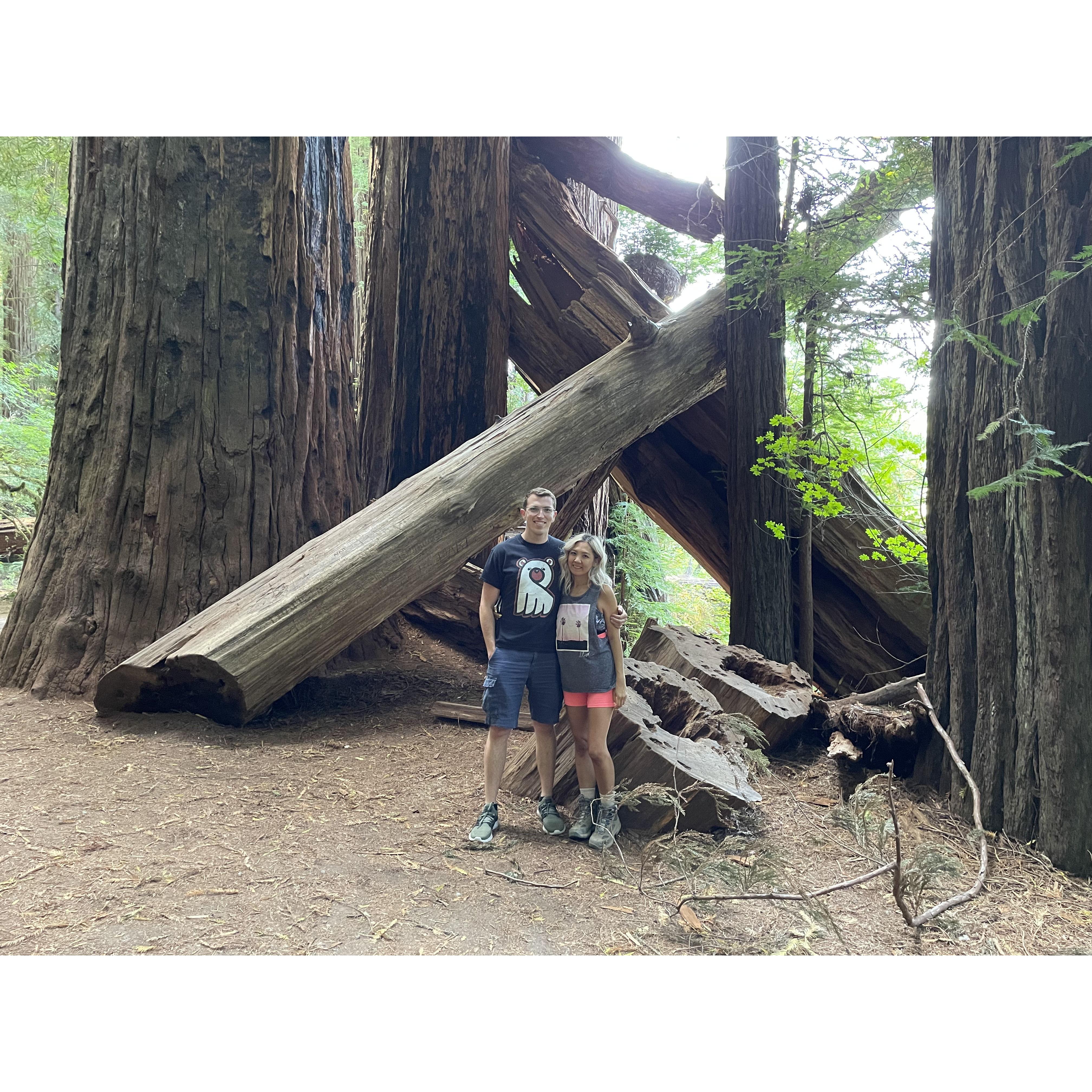 Aug 2021 | Redwoods, CA