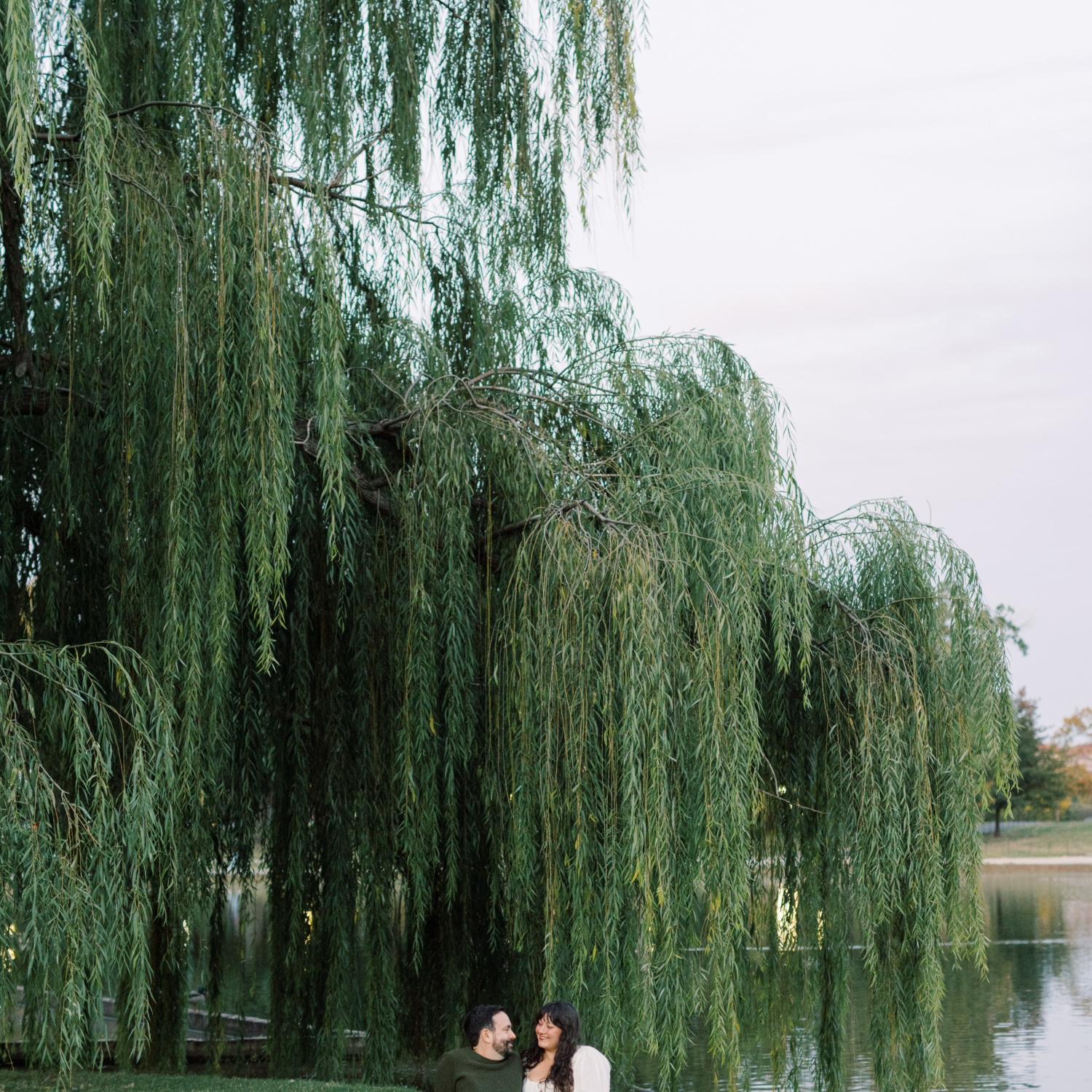 This spot is called Constitution Gardens. Jason and I were engaged here on leap day.