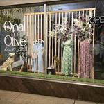 Opal and Olive Boutique