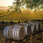 Texas Wine Country