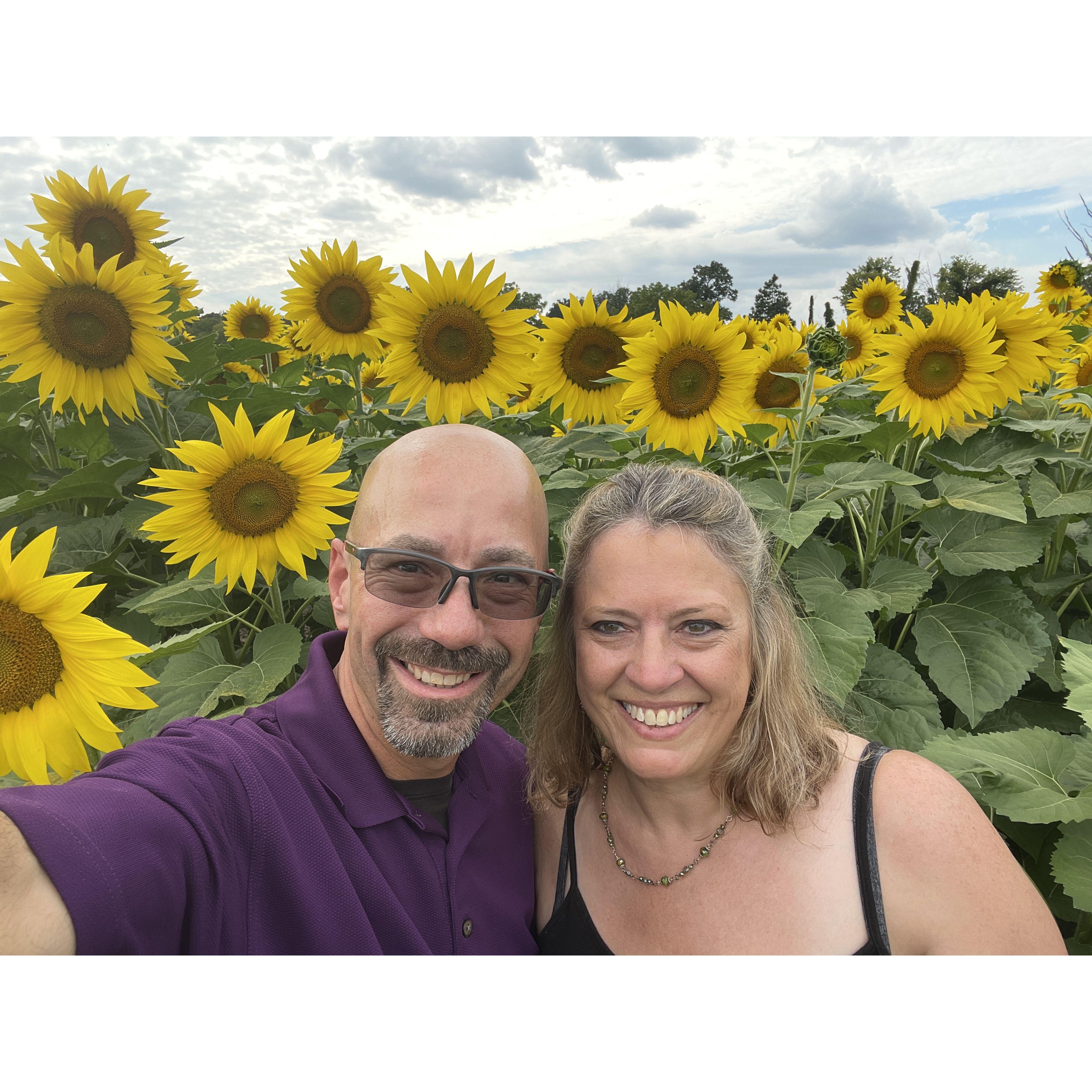 Hiding out in the sunflower patch during one of our road trips.