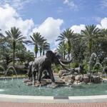 Audubon Zoo