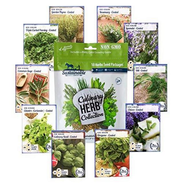 10 Variety Culinary Herb Collection and 96 Page Growing Guide - Non GMO Heirloom Basil, Thyme, Rosemary, Oregano, Parsley, Lavender, Sage, Cilantro, Chives, Dill