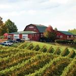 Carter Mountain Orchard