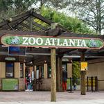 Zoo Atlanta