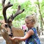 Yellow River Wildlife Sanctuary