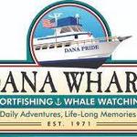 Dana Wharf Sportfishing & Whale Watching
