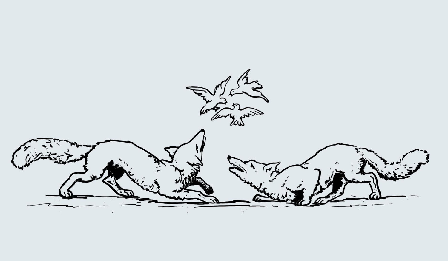 Footer image