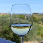 Visit Guardastelle Vineyard