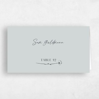 Blue Sage Mist Wedding Place Card - Rolland