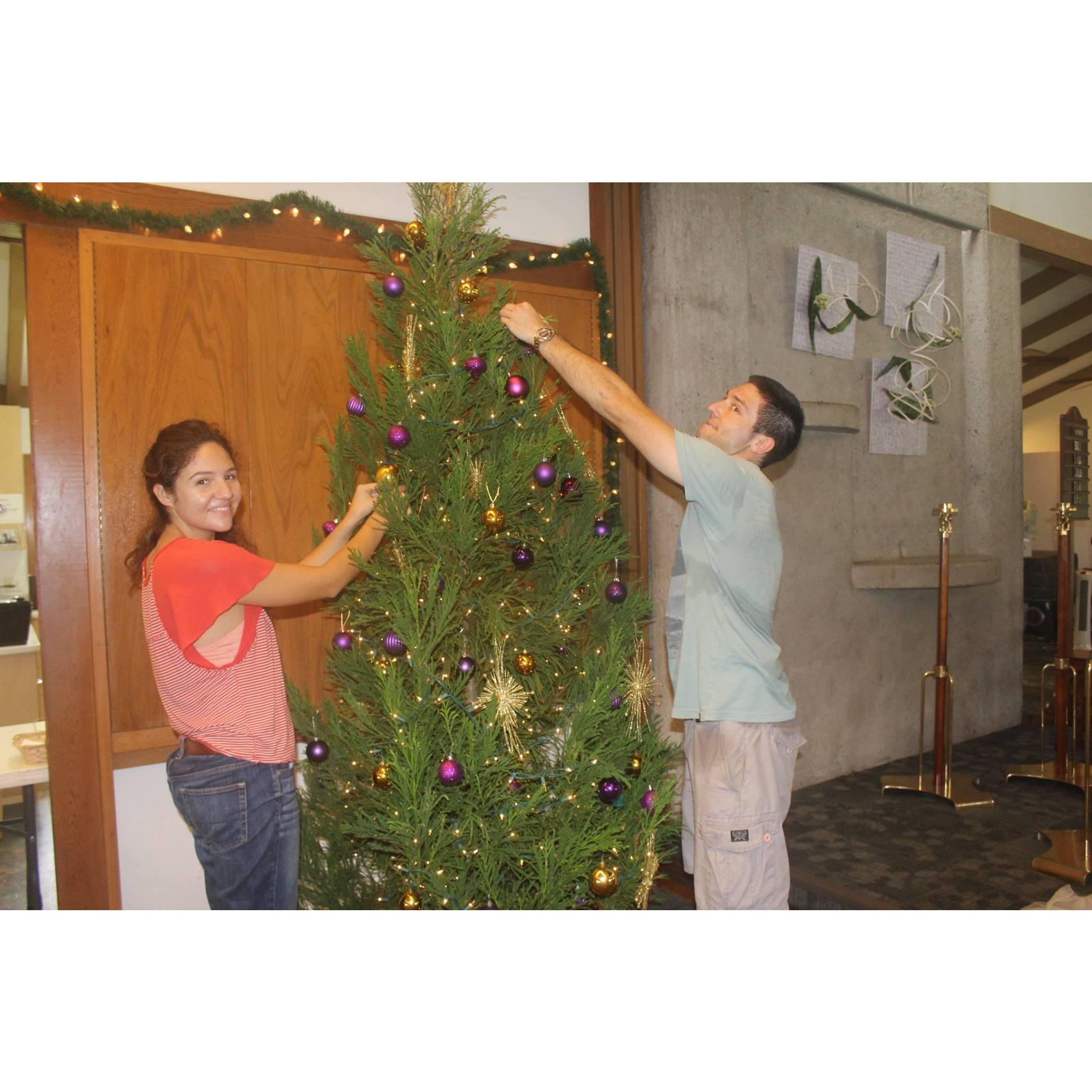 Decorating the Newman Christmas tree in 2016.