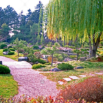 Denver Botanic Gardens