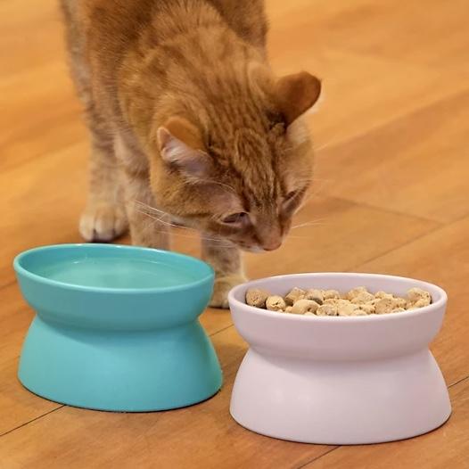 Kitty City Elevated Polypropylene Cat Bowls, 0.6 Cup, 2 ct. at Tractor Supply Co
