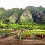 Kualoa Ranch