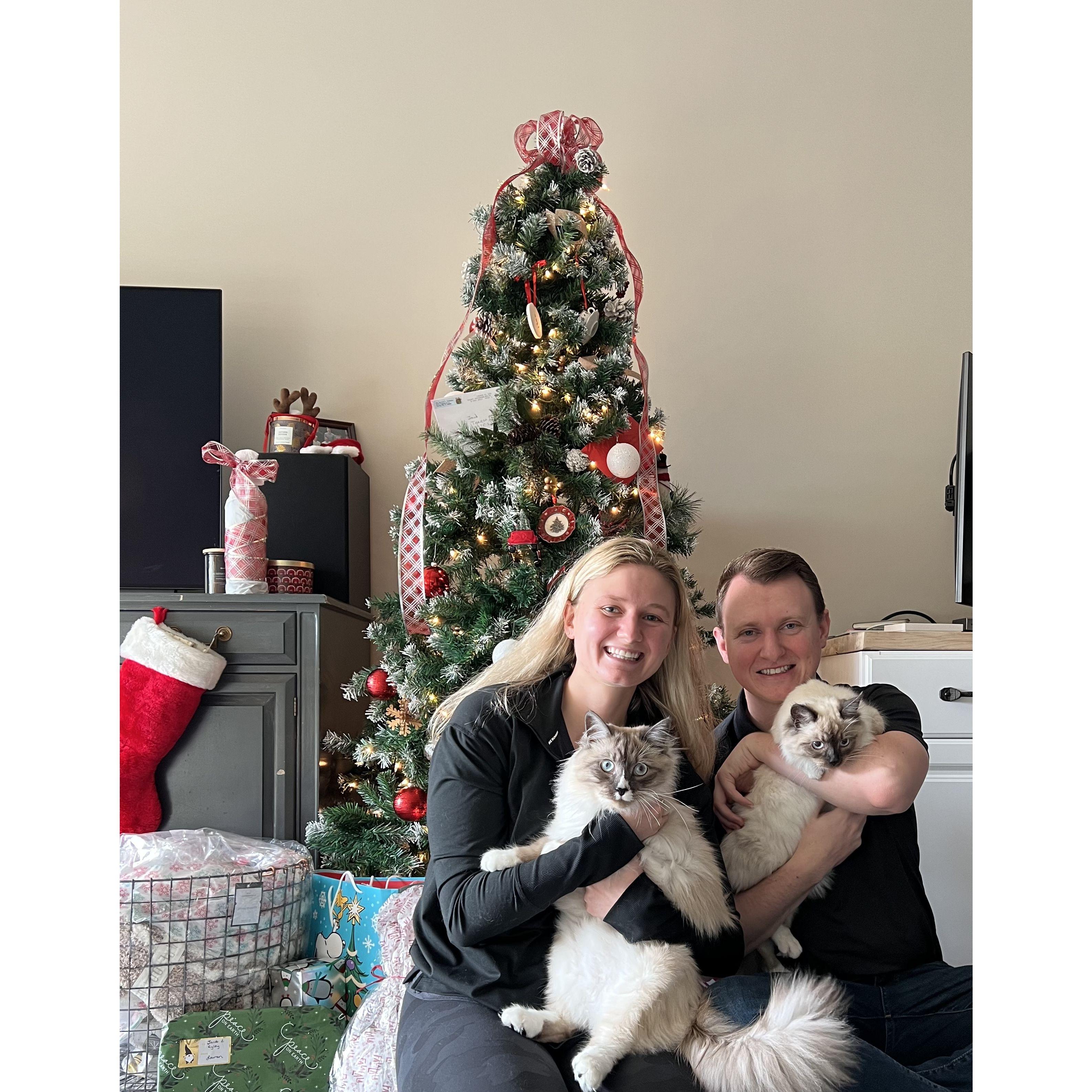 Kitties first Christmas!