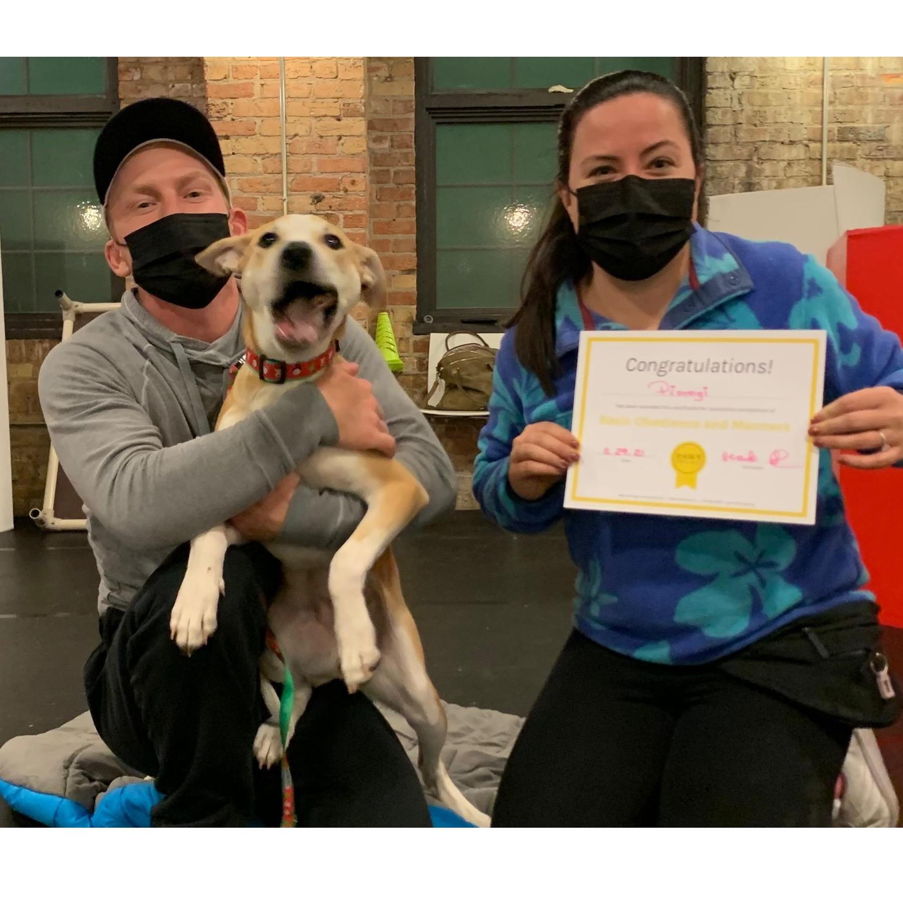 We have had lots of fun being first-time puppy parents. By some miracle, our wild-child puppy Pierogi still finds a way to graduate training school