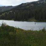 Stand Up Paddle Board