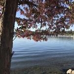 Big Foot Beach State Park