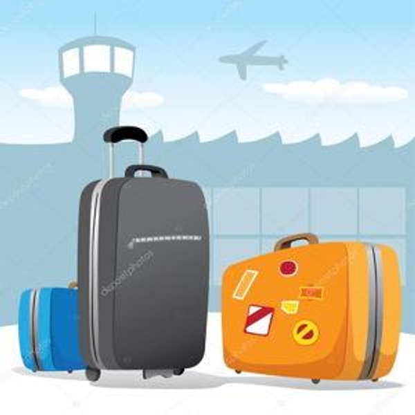 Samsonite 2 Piece Luggage