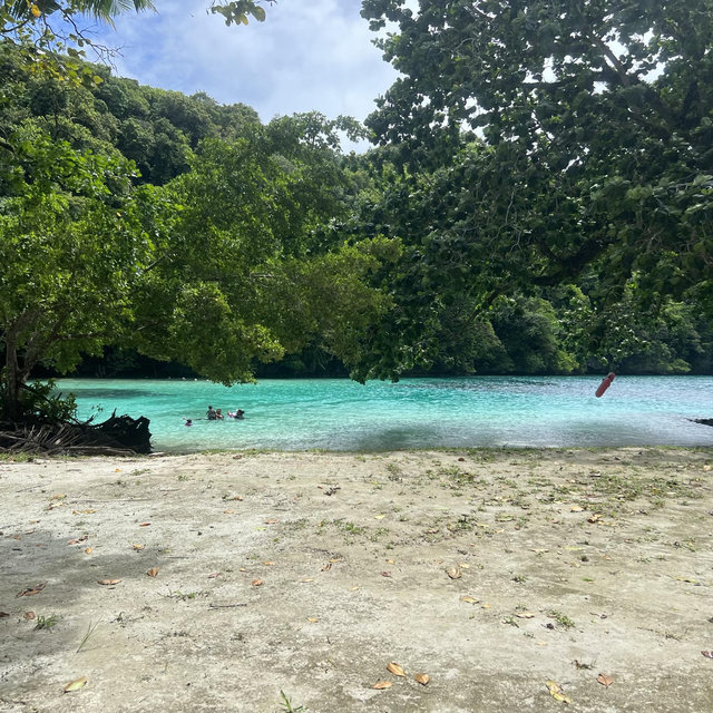 Our Honeymoon Fund: Visit Palau 🇵🇼