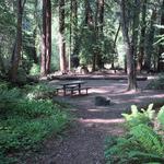 Big Sur Campground & Cabins