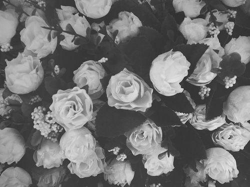 The Wedding Website of Jada Donaldson and Cameron Crater