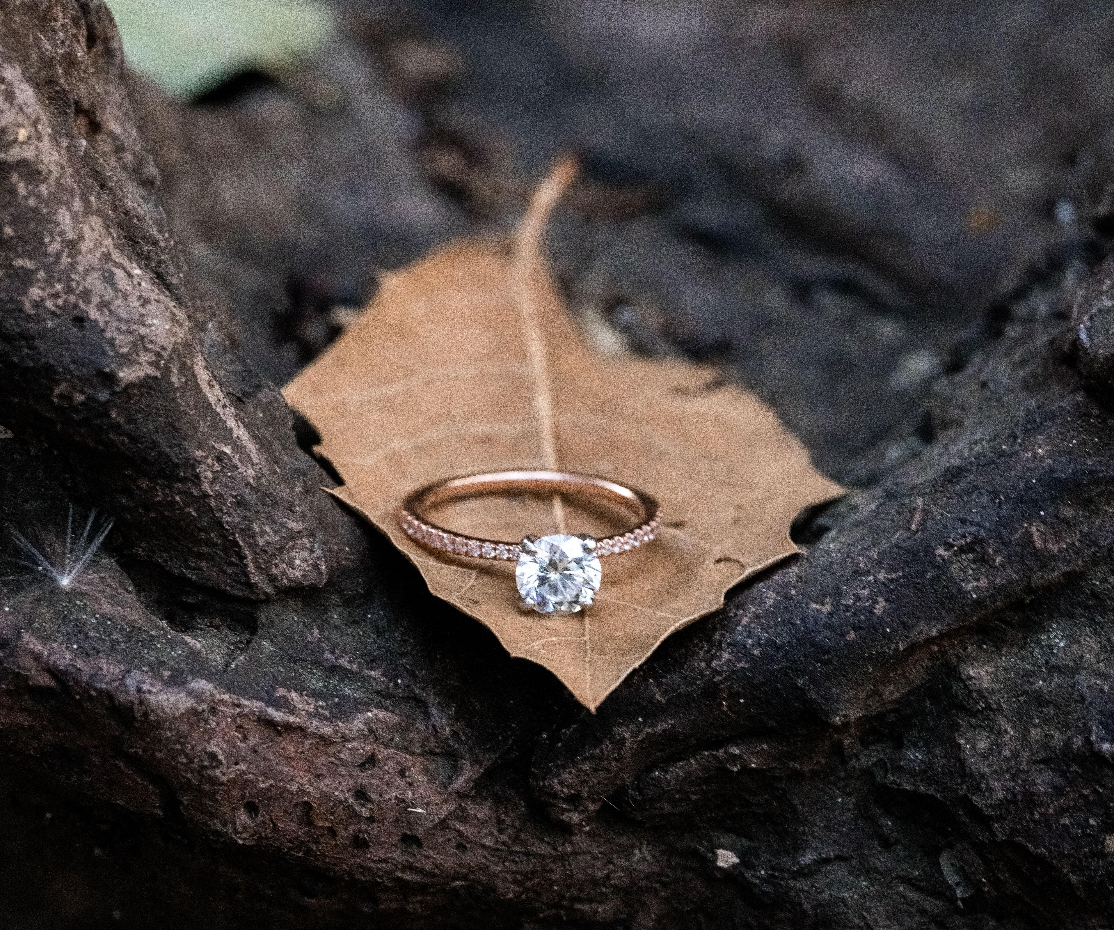 The Wedding Website of Jessica Marr and Travis Alexander