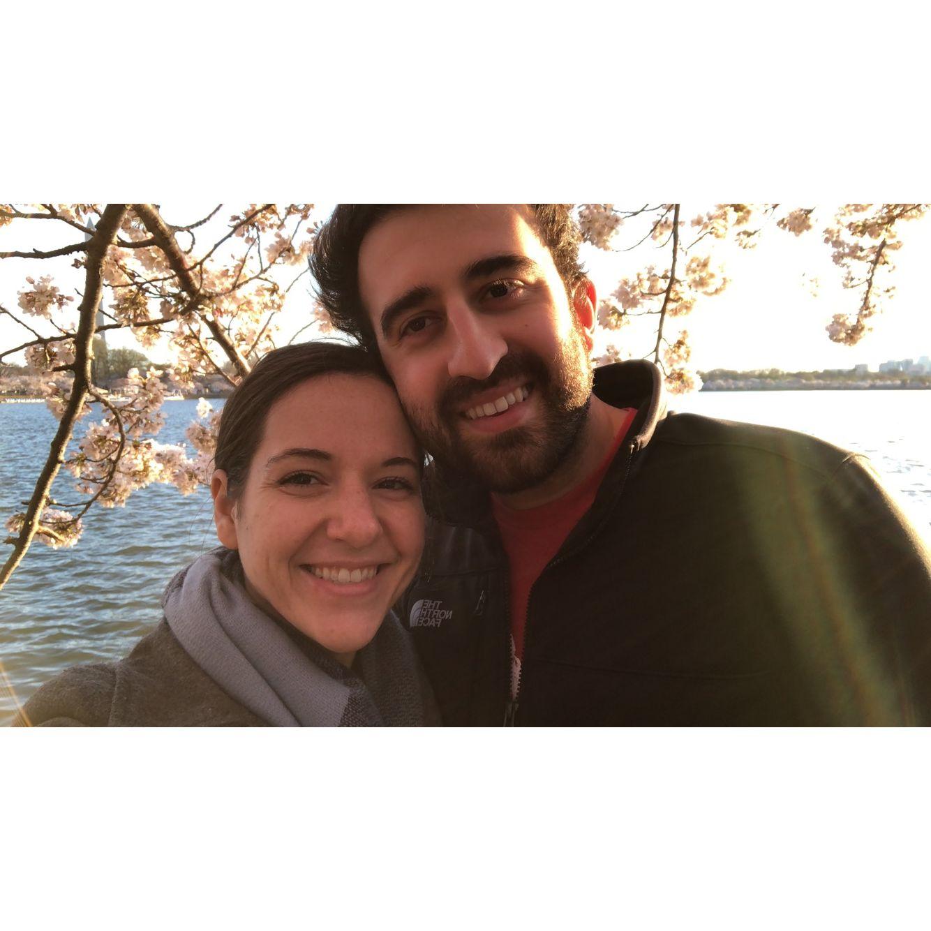 We've seen the Cherry Blossoms together