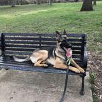 Goodale Park