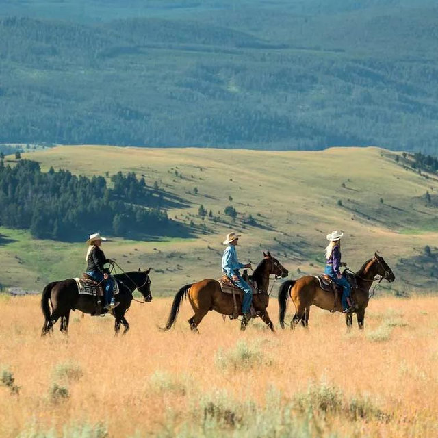 Honeymoon: Sunset Horseback Riding